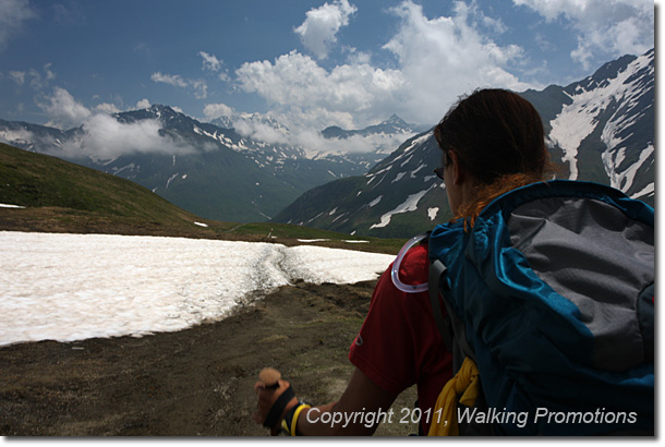 Tour de Mont Blanc, Rifugio Bonatti - Grand Col Ferret - La Fouly